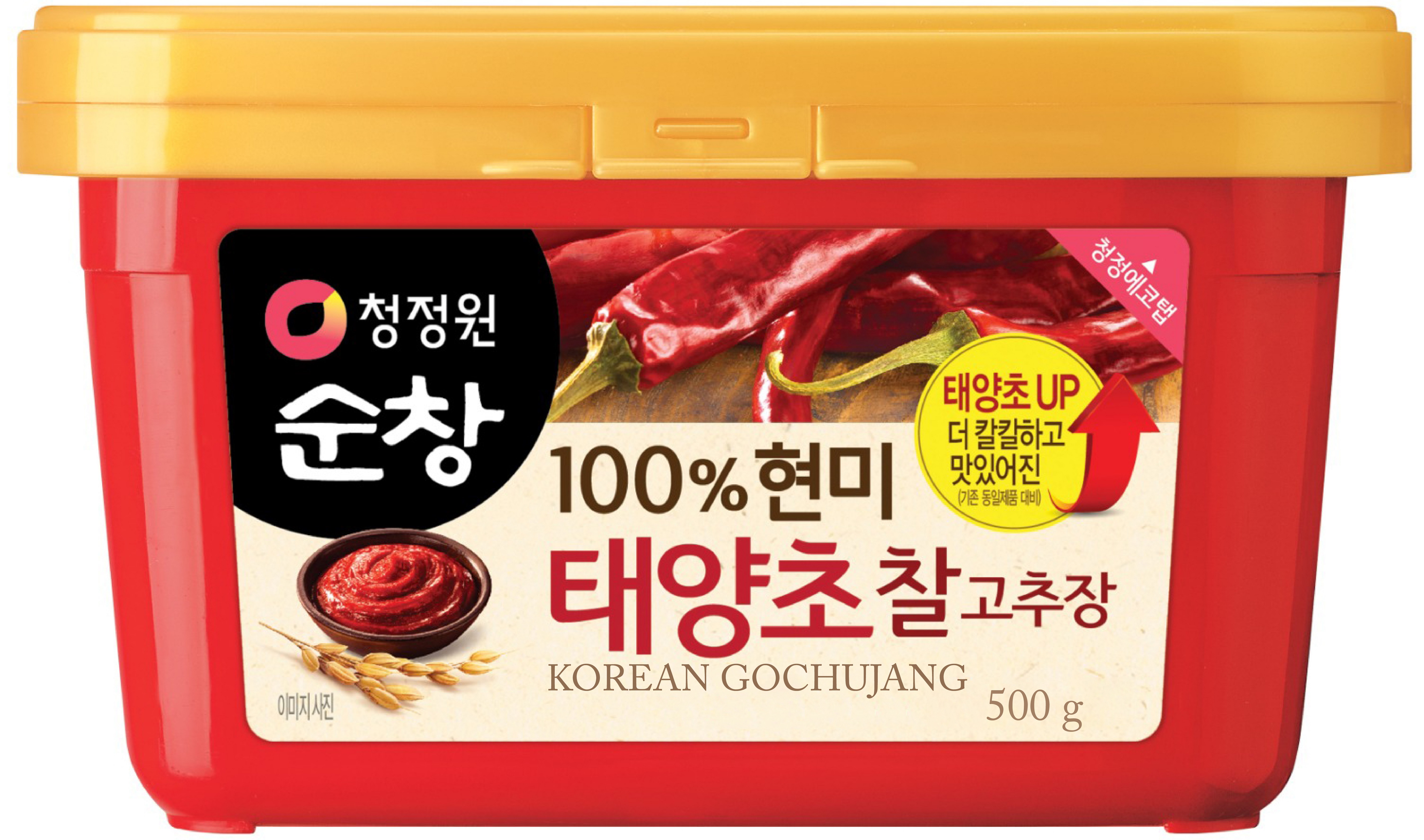 DAESANG GOCHUJANG (RED PEPPER PASTE) 500GM - 대상고추장(고추장) 500G [500Gx20]